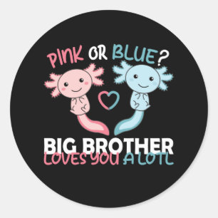 het geslacht onthult roze of blauwe broer houdt va ronde sticker