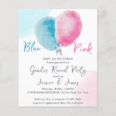 Het geslacht van de begroting openbaart de partij  (Voorkant)