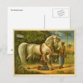 Het gesmeerde Briefkaart van de Sultan (Voorkant / Achterkant)