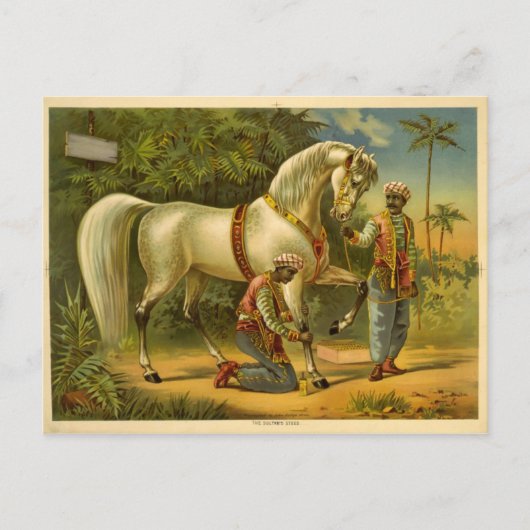 Het gesmeerde Briefkaart van de Sultan (Voorkant)