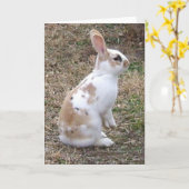 Het gespikkelde wenskaart van het Konijn van het Kaart (Gele Bloem)