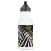 Het gestreepte Lot van de Safari van Strepen Waterfles (Rechts)