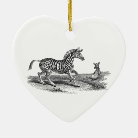 Het gestreepte Ornament van de Tekening van de (Voorkant)