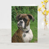 Het getijgerde en Witte Wenskaart van de Hond van Kaart (Gele Bloem)