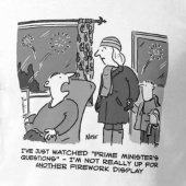 Het geven van het Vuurwerk Vertoning een Miss T-shirt