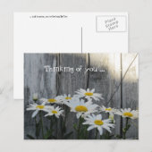 Het gevoel beter bij de mazen. briefkaart (Voorkant / Achterkant)