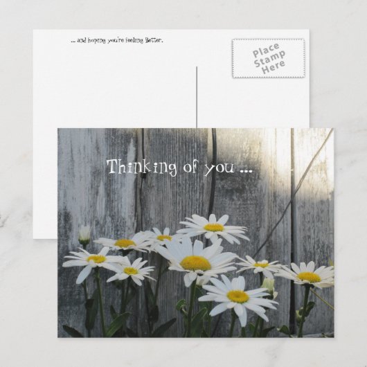 Het gevoel beter bij de mazen. briefkaart (Voorkant / Achterkant)