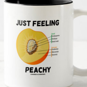 Het gevoel van peachy (perzik anatomie) tweekleurige koffiemok
