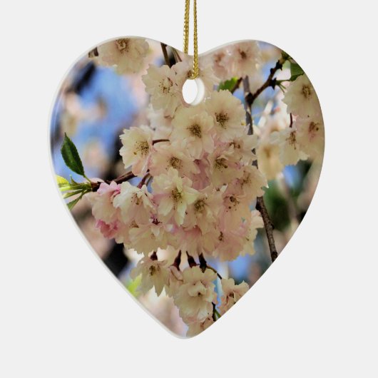 Het gevoelige Ornament van de Bloem van de (Rechts)