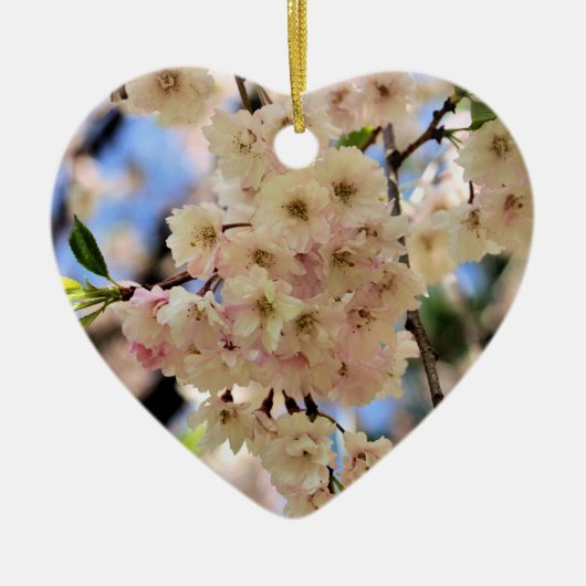 Het gevoelige Ornament van de Bloem van de (Voorkant)