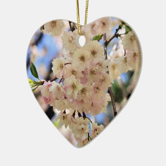 Het gevoelige Ornament van de Bloem van de (Links)