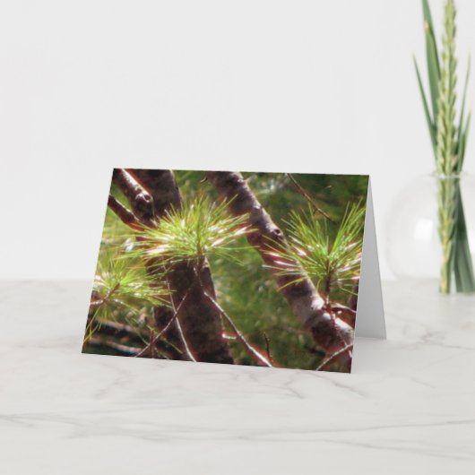 Het gewekte Bos Kaart (Voorkant)