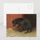 Het geweten maakt ons allen lafaards briefkaart (Voorkant / Achterkant)