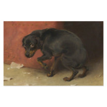 Het geweten maakt ons allen lafaards