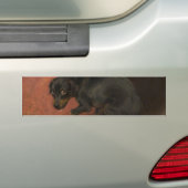 Het geweten maakt ons allen lafaards bumpersticker (Op auto)