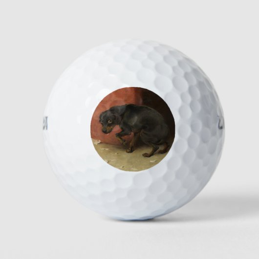 Het geweten maakt ons allen lafaards golfballen (Voorkant)