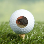 Het geweten maakt ons allen lafaards golfballen (Insitu Shirt)