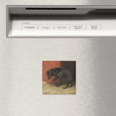 Het geweten maakt ons allen lafaards magneet (Insitu (Vaatwasser))