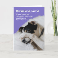 Het gezicht van de hond - er is nog veel erger