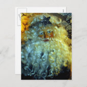 Het Gezicht van de kerstman Feestdagenkaart (Voorkant / Achterkant)