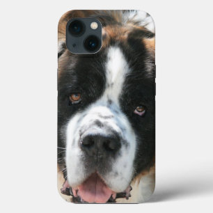 Het Gezicht van de sint-bernard iPhone 13 Hoesje