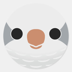 Het gezicht van een Grey Monk Parkiet Ronde Sticker