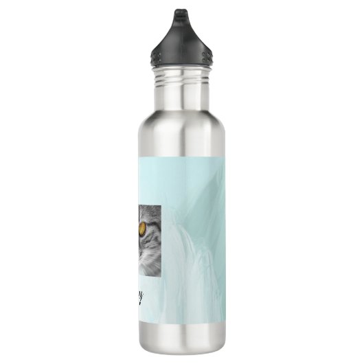 Het gezicht van een kat onder de blauwe oceaan waterfles  (Rechts)