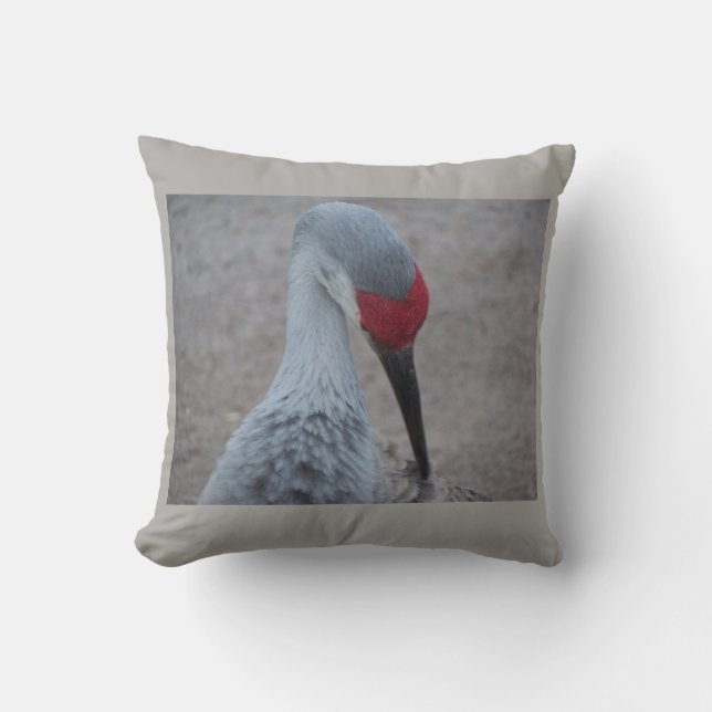 Het gezicht van een Sand Hill Crane Kussen (Voorkant)