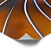 Het gezicht van een schattig Lynx-punt Siamese Poster (Hoek)