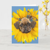 Het Gezicht van Puggle in de Kaarten van een (Gele Bloem)