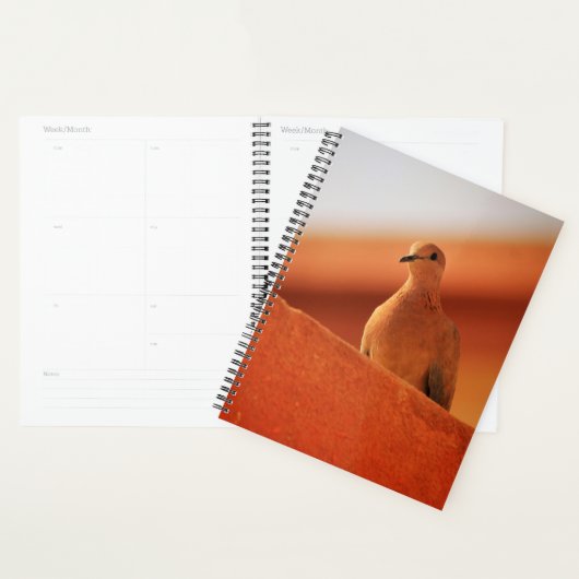 Het gezichtsveld van het Notitieboek van de bepali (Display)