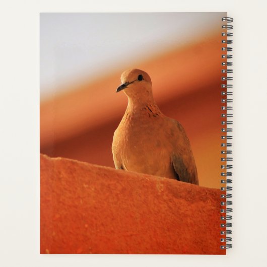 Het gezichtsveld van het Notitieboek van de bepali (Achterkant)