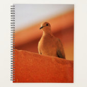 Het gezichtsveld van het Notitieboek van de bepali (Voorkant)