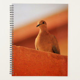 Het gezichtsveld van het Notitieboek van de bepali