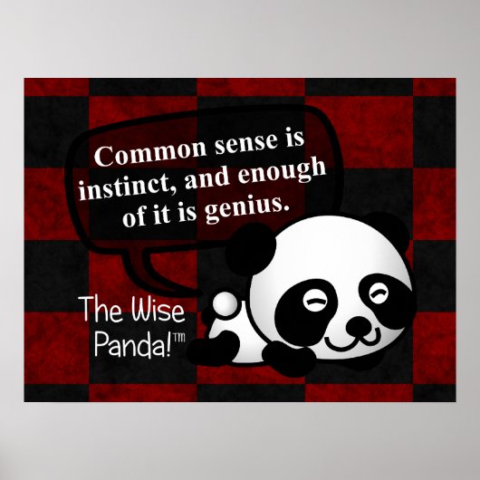 Het gezond verstand maakt je een genie poster (Voorkant)