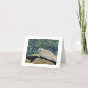 Het gieten van een Lang Wenskaart van de Schaduw Kaart