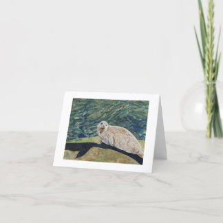 Het gieten van een Lang Wenskaart van de Schaduw Kaart