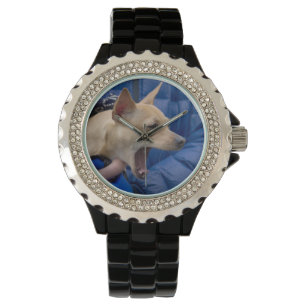 Het gillen Chihuahua Horloge