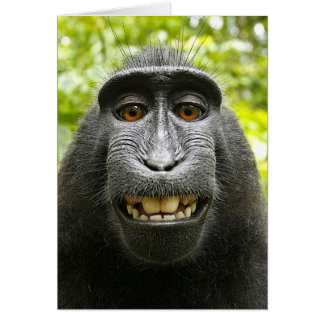 Het glimlachen Crested Celebes Macaque