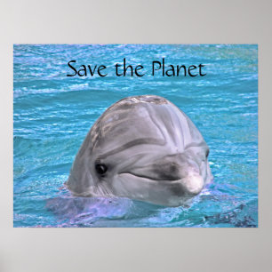 Het glimlachen Dolphin - sparen de planeet Poster