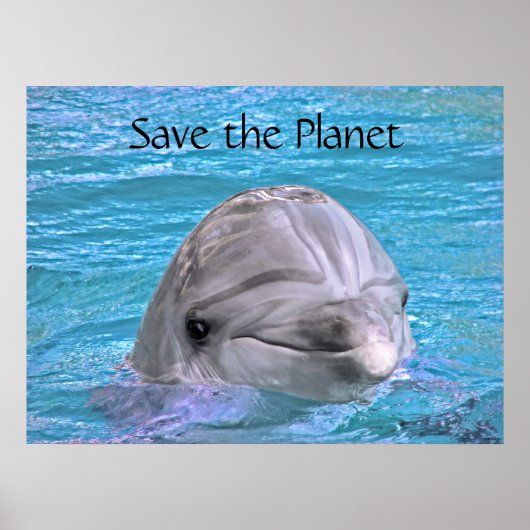 Het glimlachen Dolphin - sparen de planeet Poster (Voorkant)