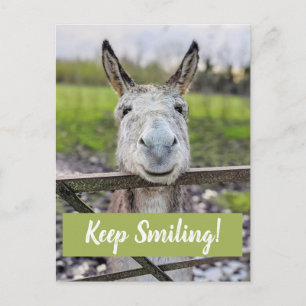 Het glimlachen Donkey "Blijf glimlachen" Briefkaar Briefkaart