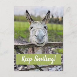 Het glimlachen Donkey "Blijf glimlachen" Briefkaar Briefkaart
