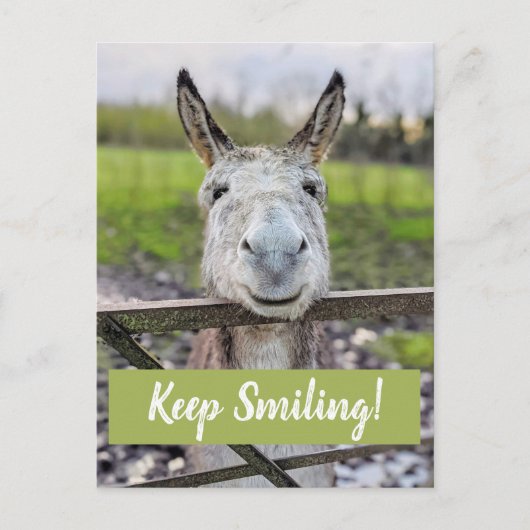 Het glimlachen Donkey "Blijf glimlachen" Briefkaar Briefkaart (Voorkant)