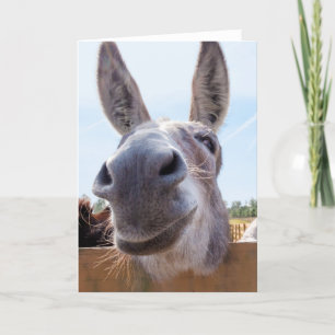 Het glimlachen Donkey met Gekke Grin Kaart