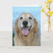 Het glimlachen Golden Retriever heeft een gelukkig Kaart (Gele Bloem)