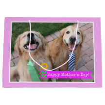 Het glimlachen Golden Retrievers Wearing Stropdass