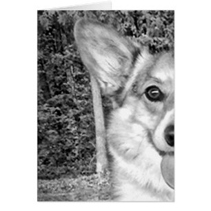 Het glimlachen Pembroke Corgi