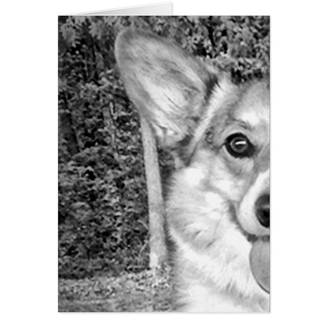 Het glimlachen Pembroke Corgi (Voorkant)