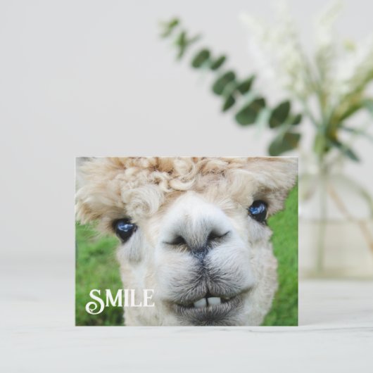 Het glimlachen van Alpaca Llama Funny Boerderij An Briefkaart (Staand voorkant)